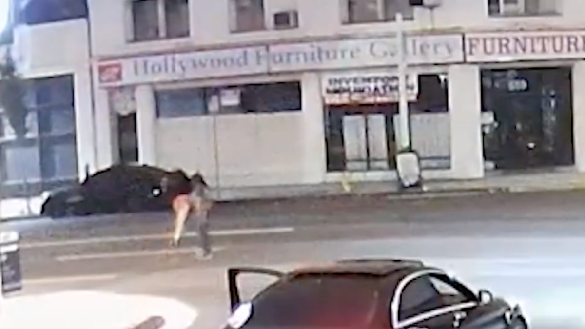 Police seek driver who severely injured woman in East Hollywood hit-and-run